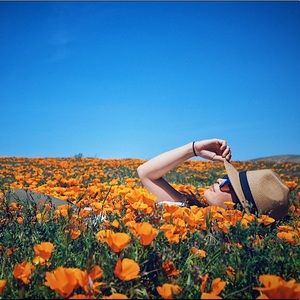 Meet your Posher, Kamille